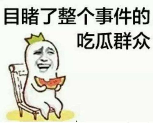 吃瓜群众在七零 穿书